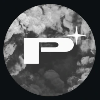 Perfectionist Auto Sound logo
